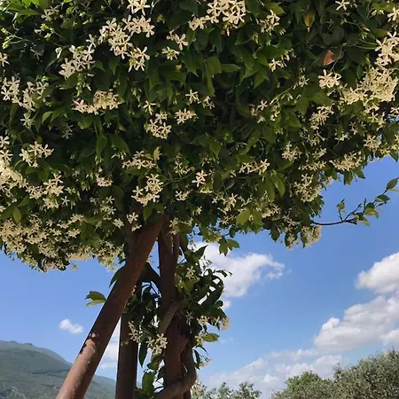 A Casa Di Papa Bb By Dimorra San Lorenzo Maggiore